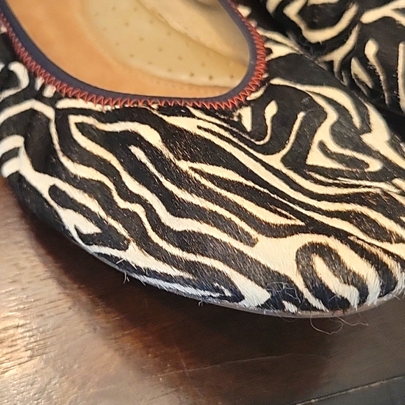 Zebra Chaste Ballet Flat calf hair - Picture 2 of 6